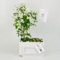12465 - Image 1