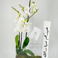 12038 - Image 4