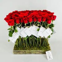 13909 - Image 1