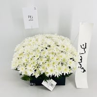 13948 - صورة 3