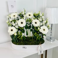 14515 - صورة 1