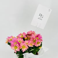 chrysanthemum purple No.9548 - Image 4