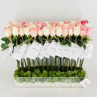 13923 - Image 5