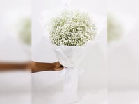 2467-10 - صورة 1