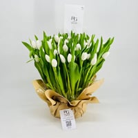 9046-572 - Image 1