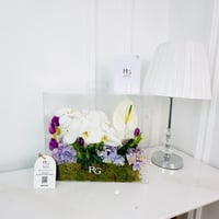 18008 - Image 1