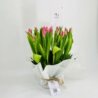 10211-592 - صورة 2