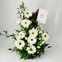 12303 - صورة 3
