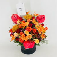 13992 - صورة 5