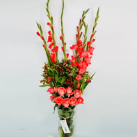 14459 - Image 4