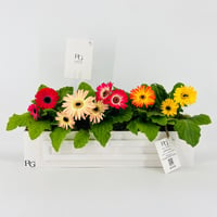 14522 - Image 1