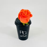 10817 - صورة 1