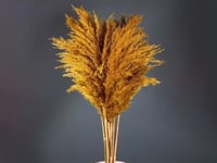 4324 - صورة 1