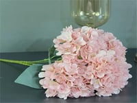 4286 - Image 1