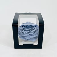 11251 - صورة 2