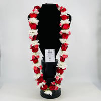 3419-177 - Image 1