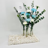 10277 - صورة 2