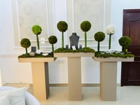 12911 - Image 1