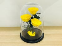 4446 - صورة 1