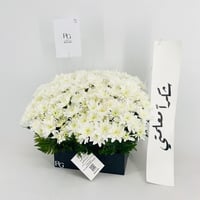 13948 - صورة 4