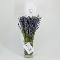 497 - Image 1