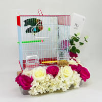 Two pairs of little parrot birds with a cage decorated with colorful artificial flowers-171 - Image 2
