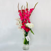 14457 - Image 1