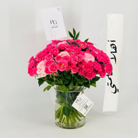 13585 - Image 2