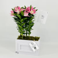 12829 - Image 3