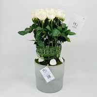 10831-91 - Image 1