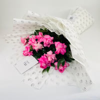 10378-125 - صورة 2