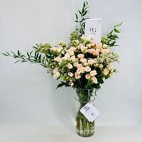 4933-123 - Image 1