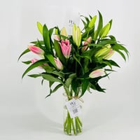 4690-844 - صورة 2