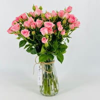 5305-34 - صورة 3