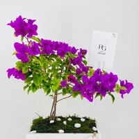 12453 - Image 4
