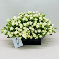 7646-127 - صورة 1