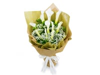 3720-532 - صورة 1