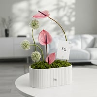 26907 - صورة 1
