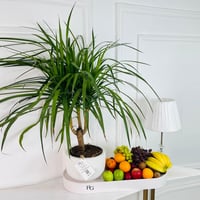 17000 - صورة 1