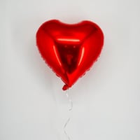 8623 - صورة 1
