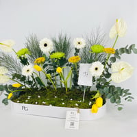 15434 - صورة 2
