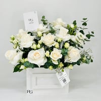 11423-599 - صورة 1