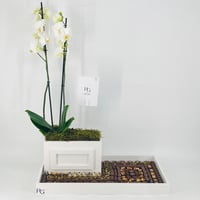 12600-819 - Image 1