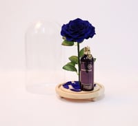 2309P-815 - صورة 1