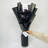 11287 - صورة 1