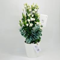 10878-91 - صورة 2
