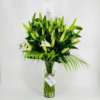 2594-109 - صورة 1