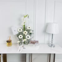 16537 - Image 2