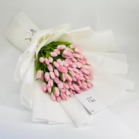 10620-497 - صورة 1