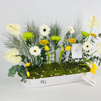 15434 - صورة 3